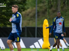 Ketajaman Lini Serang Swedia di Piala Dunia 2026 Menggila Ketajaman Lini Serang Swedia di Piala Dunia